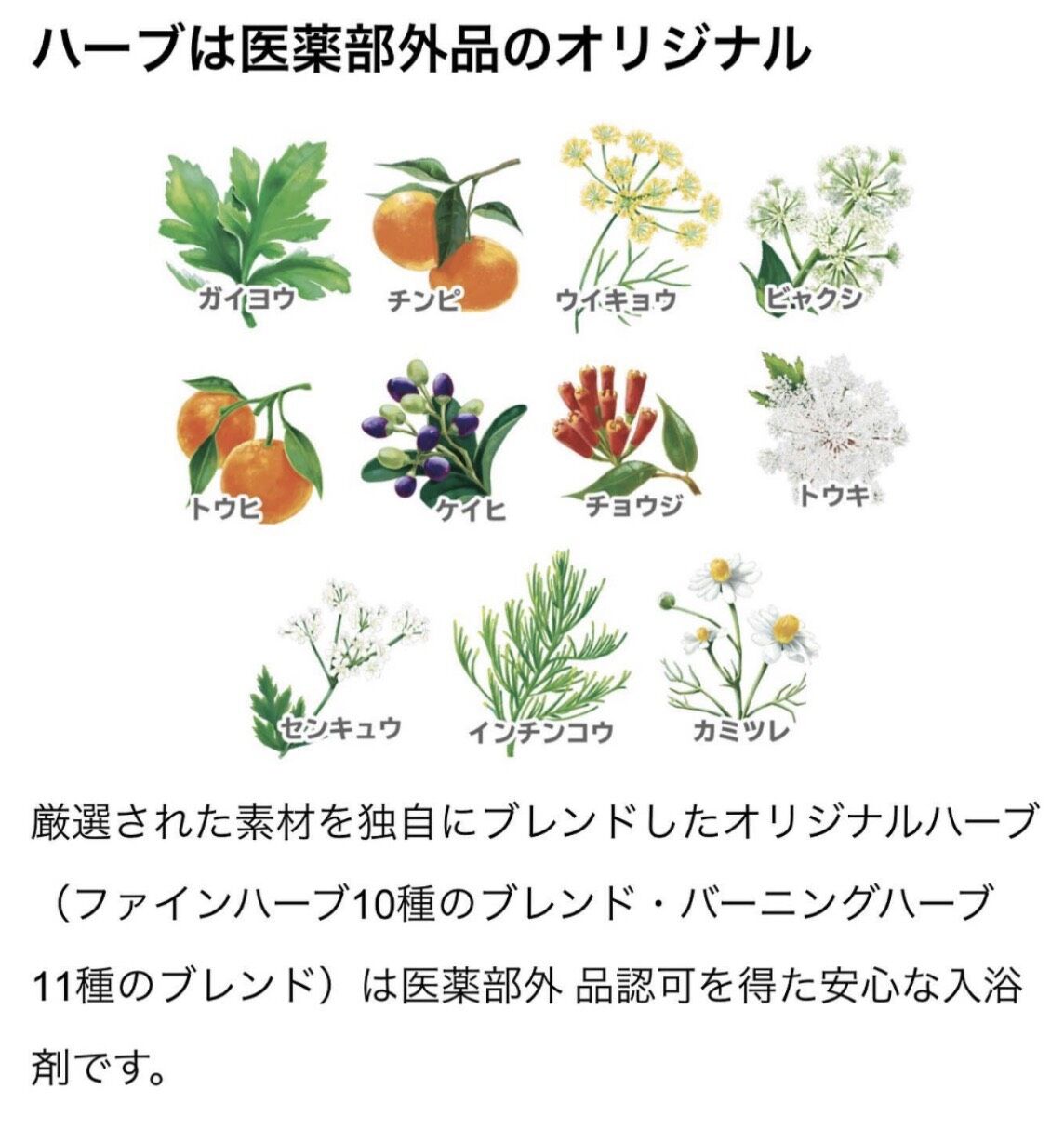 ルルオンで使用するハーブのご紹介♪
